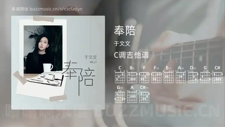 奉陪吉他谱C调 于文文 简单版
