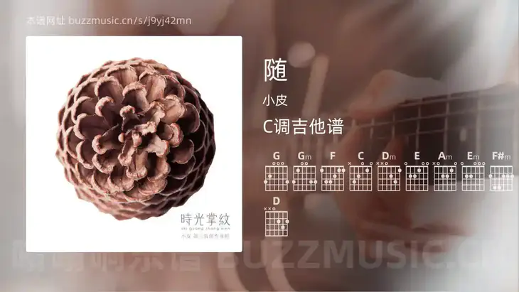 随 小皮 吉他谱C调简单版