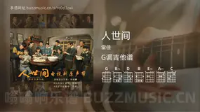 人世间 雷佳 吉他谱G调简单版