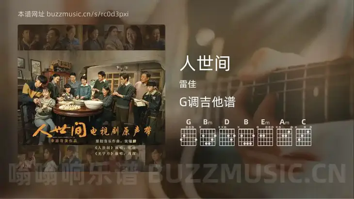 人世间 雷佳 吉他谱G调简单版