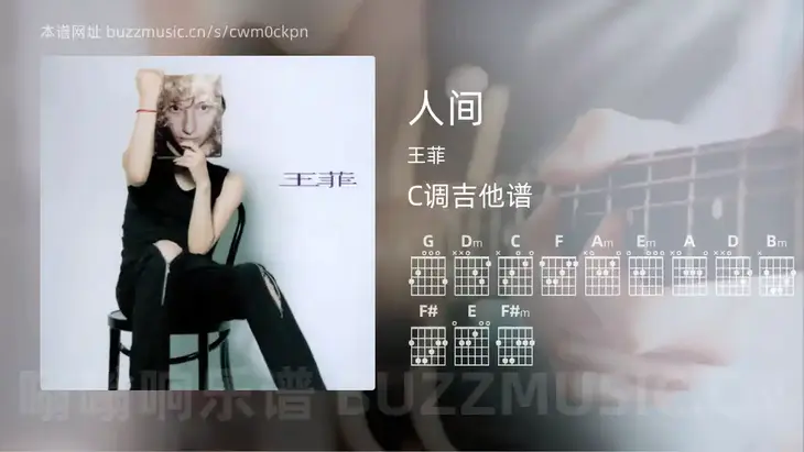 人间 王菲 吉他谱C调简单版