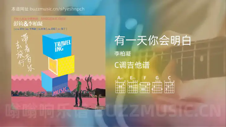 有一天你会明白 李柏凝 吉他谱C调简单版