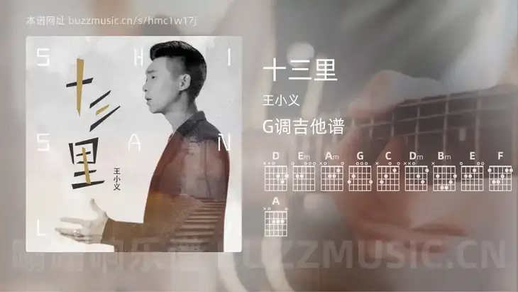 十三里 王小义 吉他谱G调简单版
