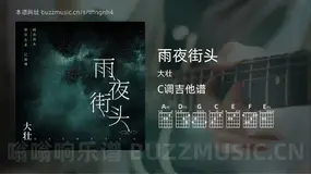 雨夜街头 大壮 吉他谱C调简单版