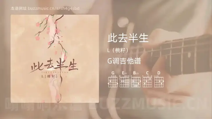 此去半生 L（桃籽） 吉他谱G调简单版