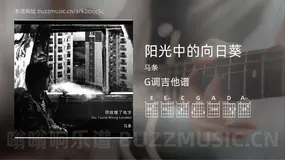 阳光中的向日葵 马条 吉他谱G调简单版
