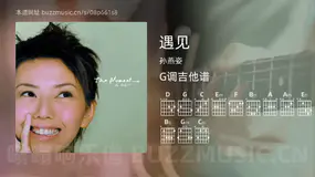 遇见吉他谱G调 孙燕姿 简单版