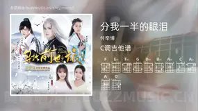 分我一半的眼泪 付辛博 吉他谱C调简单版