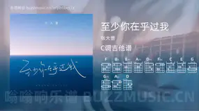 至少你在乎过我 张大蕾 吉他谱C调简单版