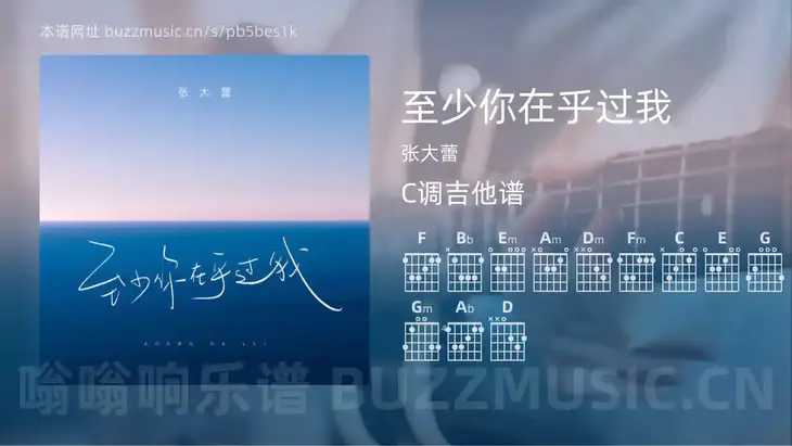 至少你在乎过我 张大蕾 吉他谱C调简单版