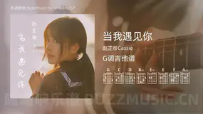 当我遇见你 赵芷彤Cassie 吉他谱G调简单版