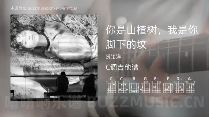 你是山楂树，我是你脚下的坟 贺铭洋 吉他谱C调简单版