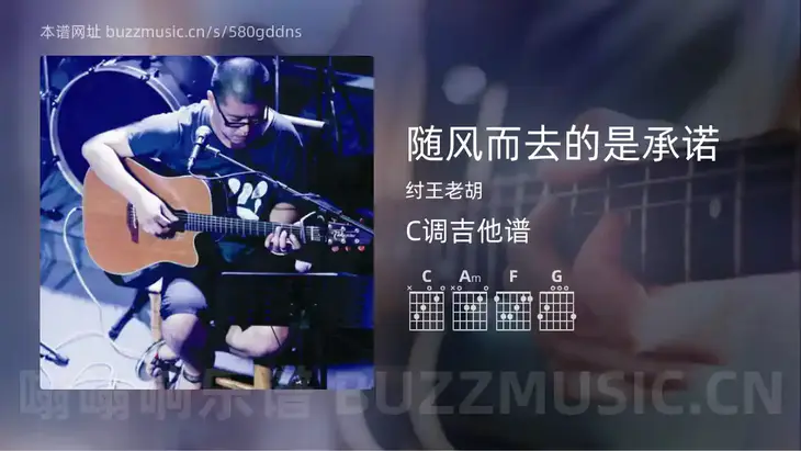 随风而去的是承诺 纣王老胡 吉他谱C调简单版