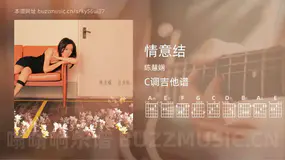 情意结 陈慧娴 吉他谱C调简单版