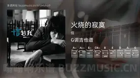 火烧的寂寞 信 吉他谱G调简单版