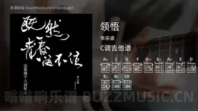 领悟 李宗盛 吉他谱C调简单版