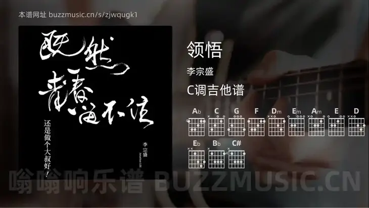 领悟 李宗盛 吉他谱C调简单版