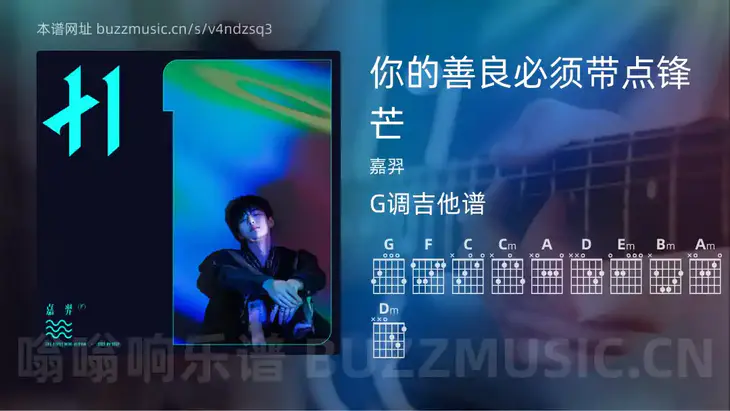 你的善良必须带点锋芒 嘉羿 吉他谱G调简单版
