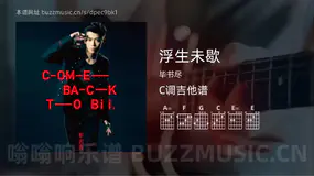 浮生未歇 毕书尽 吉他谱C调简单版