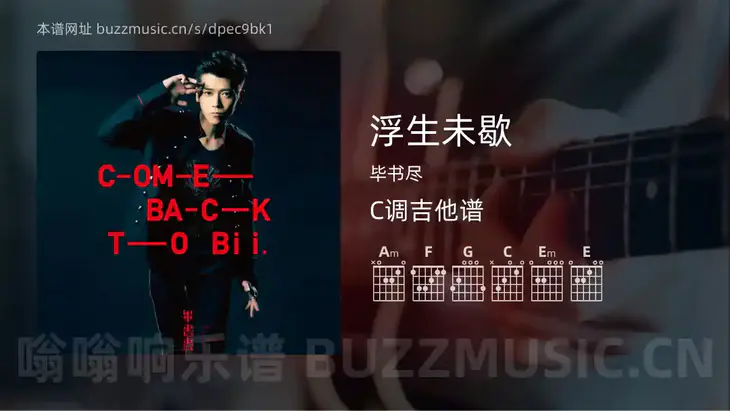 浮生未歇 毕书尽 吉他谱C调简单版