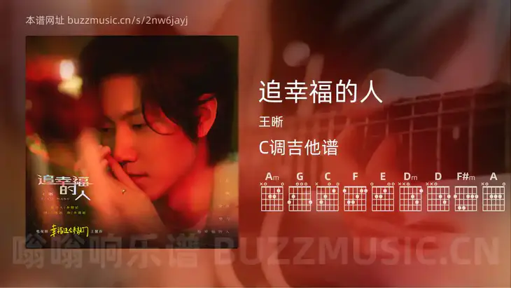 追幸福的人 王晰 吉他谱C调简单版