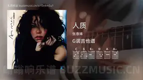 人质 张惠妹 吉他谱G调简单版