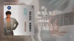 我怎么哭了 费翔 吉他谱C调简单版
