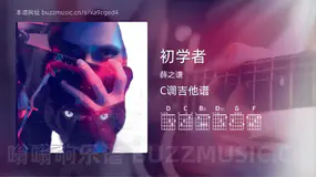 初学者 薛之谦 吉他谱C调简单版