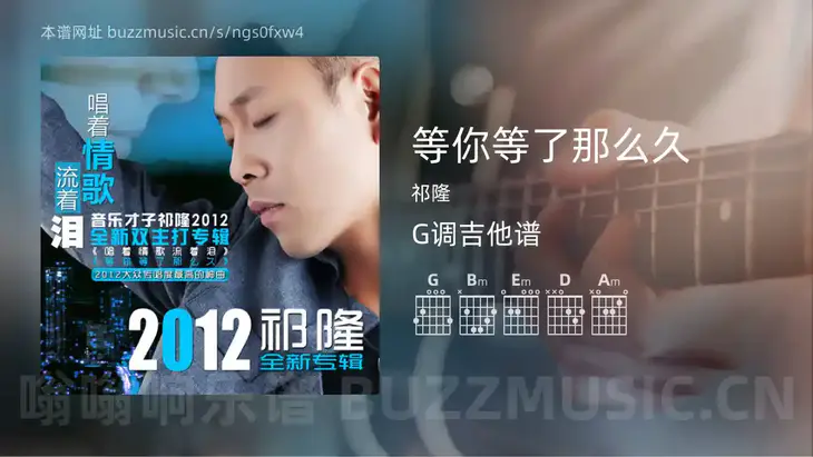 等你等了那么久 祁隆 吉他谱G调简单版