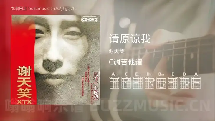 请原谅我 谢天笑 吉他谱C调简单版