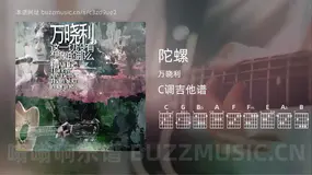 陀螺 万晓利 吉他谱C调简单版