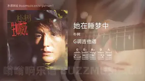 她在睡梦中 朴树 吉他谱G调简单版