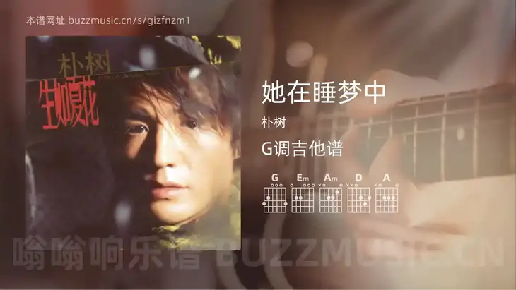 她在睡梦中 朴树 吉他谱G调简单版