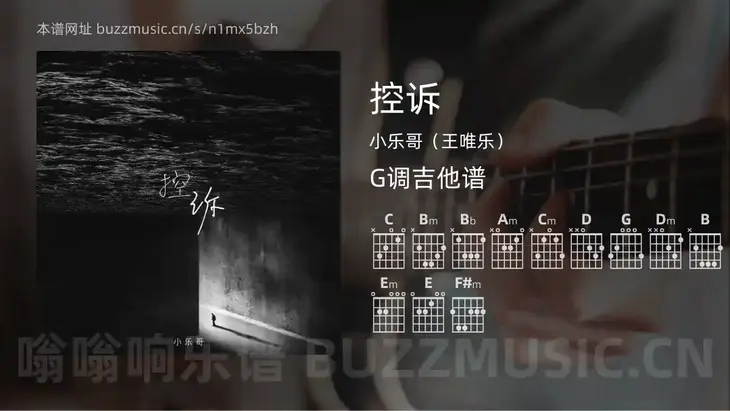 控诉 小乐哥（王唯乐） 吉他谱G调简单版