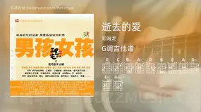 逝去的爱吉他谱G调 郑海龙 简单版