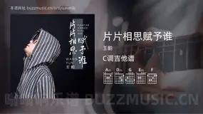 片片相思赋予谁吉他谱C调 王韵 简单版