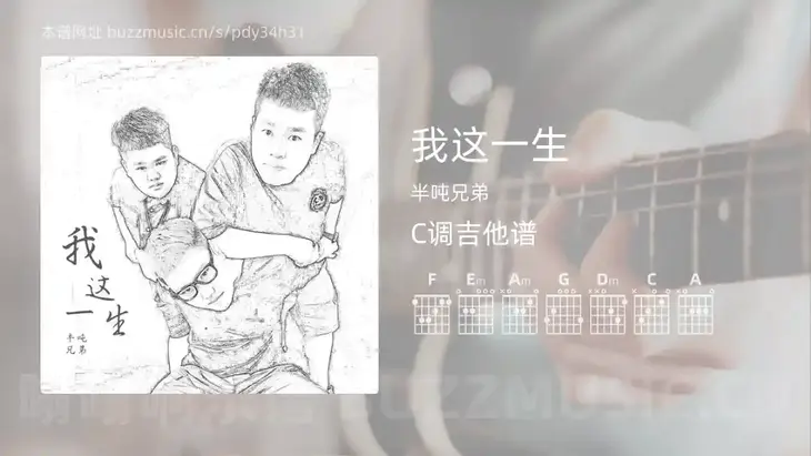 我这一生 半吨兄弟 吉他谱C调简单版
