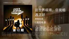 这世界喧闹，你我相遇正好 理想后花园 吉他谱C调简单版