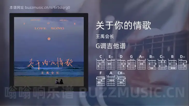 关于你的情歌 王禹会长 吉他谱G调简单版