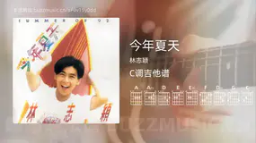 今年夏天 林志颖 吉他谱C调简单版