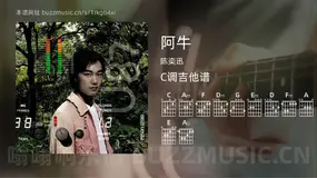 阿牛 陈奕迅 吉他谱C调简单版