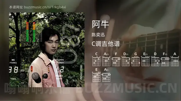 阿牛 陈奕迅 吉他谱C调简单版