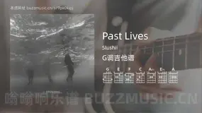 Past Lives Slushii 吉他谱G调简单版