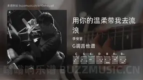 用你的温柔带我去流浪 李安吉 吉他谱G调简单版