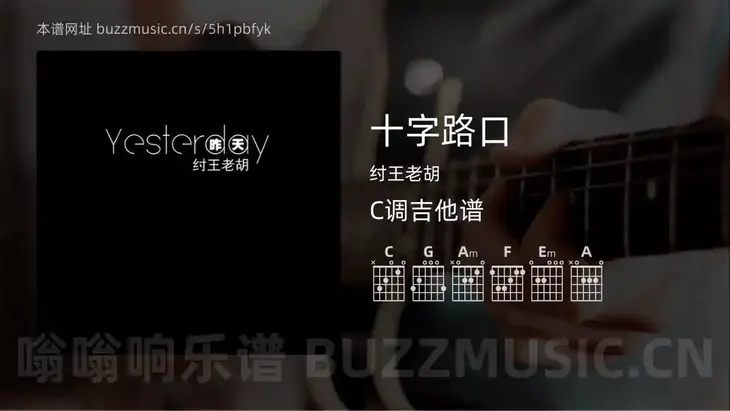 十字路口 纣王老胡 吉他谱C调简单版