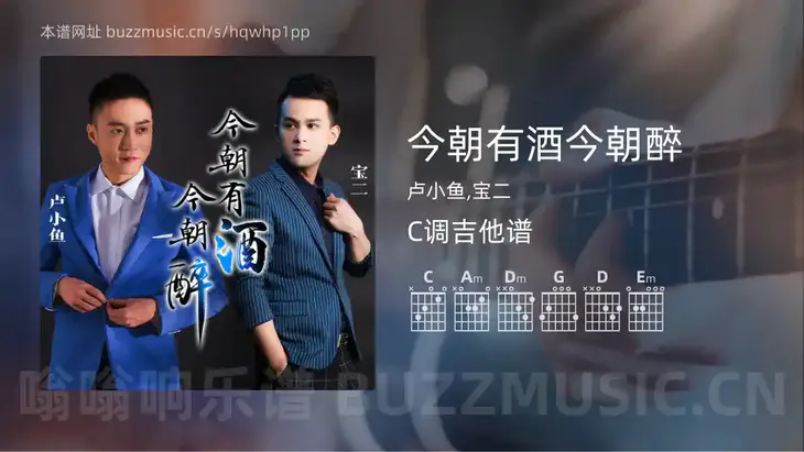 今朝有酒今朝醉吉他谱C调 卢小鱼,宝二 简单版