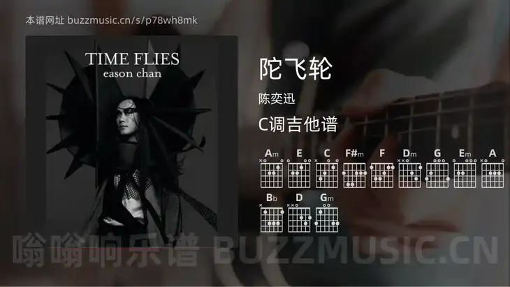 陀飞轮 陈奕迅 吉他谱C调简单版