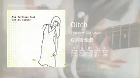 Ditch The Partisan Seed 吉他谱G调简单版