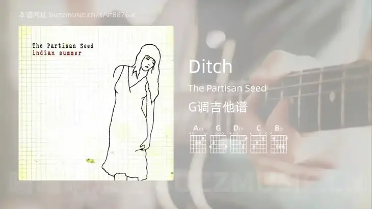 Ditch The Partisan Seed 吉他谱G调简单版