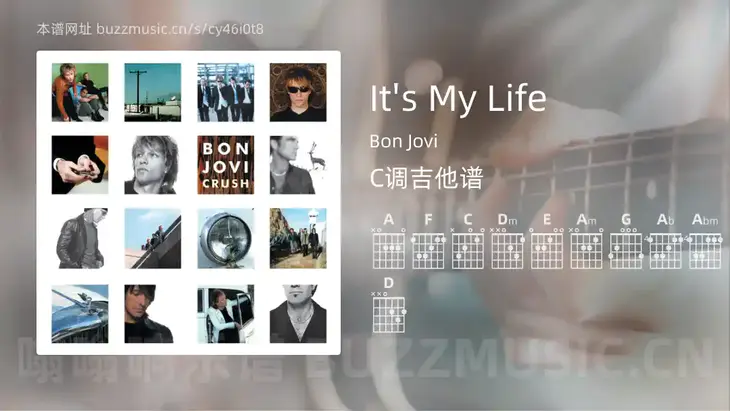 It’s My Life吉他谱C调 Bon Jovi 简单版